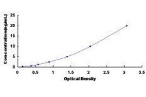 ELISA image for ATP-Binding Cassette, Sub-Family C (CFTR/MRP), Member 9 (ABCC9) ELISA Kit (ABIN419305)