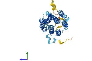 Protein Structure (PS) image for Monocyte To Macrophage Differentiation-Associated 2 (MMD2) (AA 1-270) protein (His tag) (ABIN7550497)