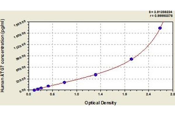 ATG7 ELISA Kit