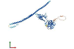 Protein Structure (PS) image for Fibronectin Type III and SPRY Domain Containing 1 (FSD1) (AA 1-496) protein (His tag) (ABIN7558248)