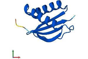 Protein Structure (PS) image for Dynein, Light Chain, LC8-Type 2 (DYNLL2) (AA 1-89) protein (His tag) (ABIN7547249)