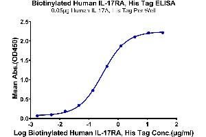 ELISA image for Interleukin 17 Receptor A (IL17RA) (AA 33-320) protein (His-Avi Tag,Biotin) (ABIN7275032)