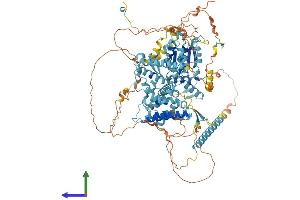 AlphaFold protein structure predicition of Mouse Recombinant Chtf18 Protein, UniprotID Q8BIW9