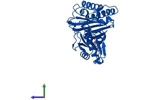 Protein Structure (PS) image for Inositol(myo)-1(or 4)-Monophosphatase 2 (IMPA2) (AA 1-290) protein (His tag) (ABIN7559968)