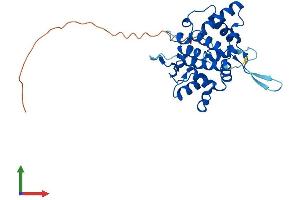 Protein Structure (PS) image for Golgi Phosphoprotein 3-Like (GOLPH3L) (AA 1-285) protein (His tag) (ABIN7559623)