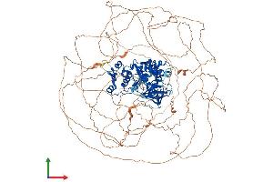 Protein Structure (PS) image for Homeodomain Interacting Protein Kinase 1 (HIPK1) (AA 1-1210) protein (His tag) (ABIN7562687)
