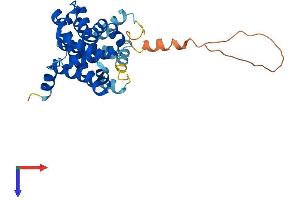TMEM38B Protein (AA 1-292) (His tag)