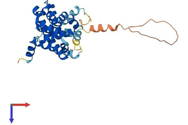 TMEM38B Protein (AA 1-292) (His tag)
