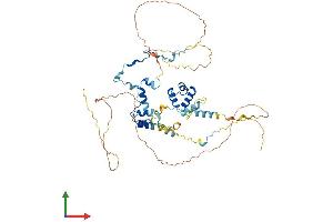 AlphaFold protein structure predicition of Mouse Recombinant Mier1 Protein, UniprotID Q5UAK0