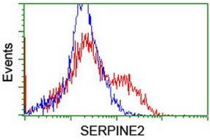 Flow Cytometry (FACS) image for anti-serpin Peptidase Inhibitor, Clade E (Nexin, Plasminogen Activator Inhibitor Type 1), Member 2 (SERPINE2) antibody (ABIN2731831)