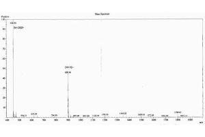 Image no. 1 for Angiotensin 1-7 peptide (BSA) (ABIN5665943) (Angiotensin 1-7 peptide (BSA))