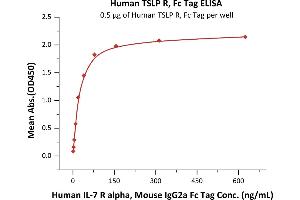 Biotinylated Human TSLP (R127A, R130A), His,Avitag (ABIN6923165,ABIN6938832) immobilized at 2 μg/mL (100 μL/well) via precoated 5 μg/mL (100 μL/well) of Human TSLP R, Fc Tag (ABIN5954970,ABIN6253631), can bind can bind Human IL-7 R alpha, Mouse IgG2a Fc Tag (ABIN5674632,ABIN6253694) with a linear range of 1-20 ng/mL (Routinely tested).