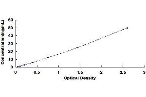 Typical standard curve (LALBA ELISA Kit)