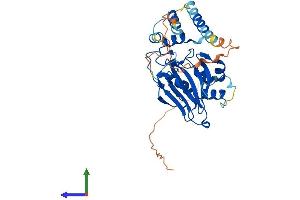 Protein Structure (PS) image for Aspartate beta-Hydroxylase Domain Containing 1 (ASPHD1) (AA 1-360) protein (His tag) (ABIN7557008)