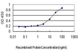 ELISA image for anti-CD5 Molecule-Like (CD5L) (AA 41-140) antibody (ABIN560228)