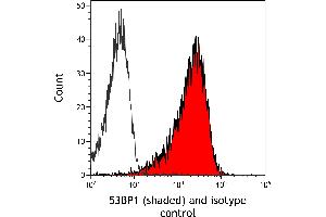 Flow Cytometry (FACS) image for anti-Tumor Protein P53 Binding Protein 1 (TP53BP1) (AA 350-400) antibody (ABIN7455070)