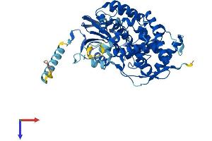 CYP7B1 Protein (AA 1-507) (His tag)
