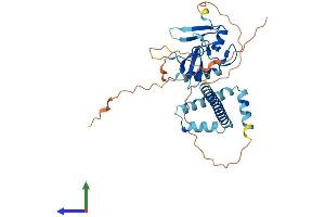 Protein Structure (PS) image for PHD Finger Protein 11 (PHF11) (AA 1-337) protein (His tag) (ABIN7562001)
