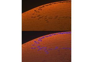 Immunofluorescence analysis of rat eye using CRYAA Rabbit mAb (ABIN7266527) at dilution of 1:100 (40x lens). (CRYAA Antikörper)