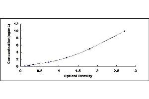 Typical standard curve (WNT7B ELISA Kit)