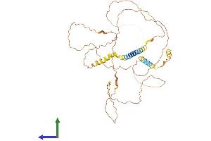 Protein Structure (PS) image for Adherens Junctions Associated Protein 1 (AJAP1) (AA 1-411) protein (His tag) (ABIN7552077)