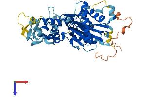 Protein Structure (PS) image for Actin-Related Protein 10 Homolog (ACTR10) (AA 1-417) protein (His tag) (ABIN7561820)