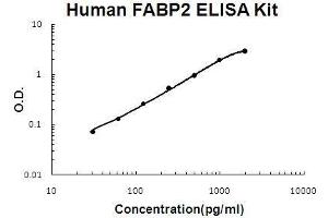 Human FABP2/I-FABP PicoKine ELISA Kit standard curve (FABP2 ELISA Kit)