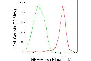 Flow cytometric analysis of 293T cells transfected with GFP protein using GFP antibody (T028, 1:2,000). (GFP Tag Antikörper)