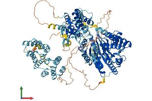 Protein Structure (PS) image for Interferon Induced with Helicase C Domain 1 (IFIH1) (AA 1-1025) protein (His tag) (ABIN7554140)
