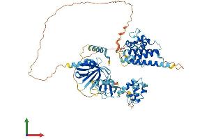 Protein Structure (PS) image for EPS8-Like 3 (EPS8L3) (AA 1-600) protein (His tag) (ABIN7560043)