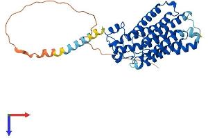 Adiponectin Receptor 1 Protein (ADIPOR1) (AA 1-375) (His tag)