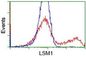 Flow Cytometry (FACS) image for anti-LSM1 Homolog, U6 Small Nuclear RNA Associated (LSM1) (AA 1-133) antibody (ABIN1490575) (LSM1 Antikörper  (AA 1-133))