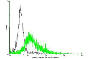 FACS analysis of negative control 293 cells (Black) and P2RY8 expressing 293 cells (Green) using P2RY8 purified MaxPab mouse polyclonal antibody. (P2RY8 Antikörper  (AA 1-359))