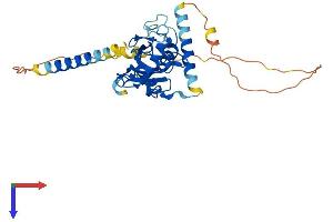 UBE2J1 Protein (AA 1-318) (His tag)