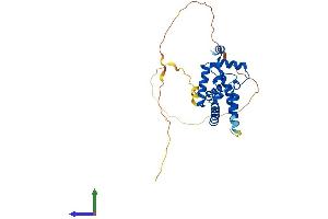 Protein Structure (PS) image for Mortality Factor 4 Like 2 (MORF4L2) (AA 1-288) protein (His tag) (ABIN7565179)