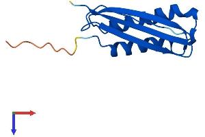 DYNLT3 Protein (AA 1-116) (His tag)