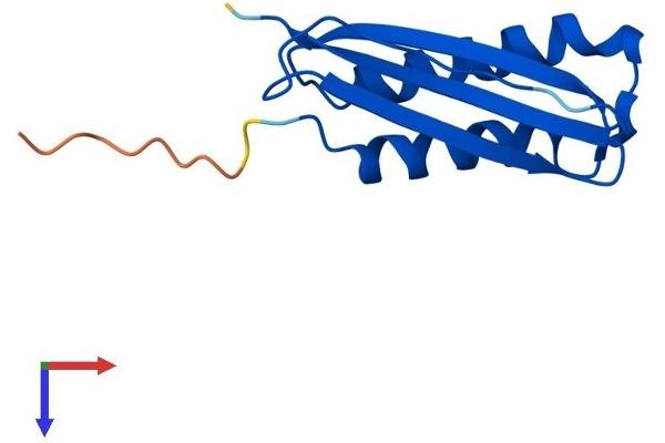 DYNLT3 Protein (AA 1-116) (His tag)
