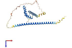 MSANTD3 Protein (AA 1-275) (His tag)