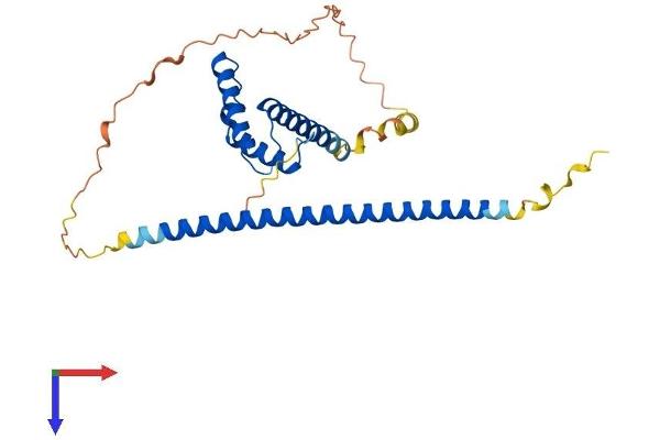 MSANTD3 Protein (AA 1-275) (His tag)