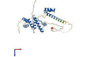 SIX Homeobox 1 Protein (SIX1) (AA 1-284) (His tag)