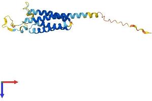 NKAIN2 Protein (AA 1-208) (His tag)