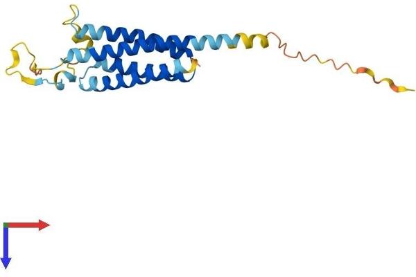 NKAIN2 Protein (AA 1-208) (His tag)