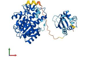 Protein Structure (PS) image for Hydroxysteroid Dehydrogenase Like 2 (HSDL2) (AA 1-418) protein (His tag) (ABIN7548371)