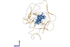 Protein Structure (PS) image for Nuclear Factor of Activated T-Cells, Cytoplasmic, Calcineurin-Dependent 4 (NFATC4) (AA 1-902) protein (His tag) (ABIN7554713)