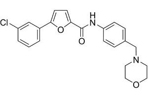 Chemical structure of CID 2011756 , a PKD kinase inhibitor.