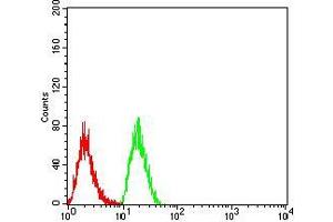Flow cytometric analysis of Hela cells using TTF1 mouse mAb (green) and negative control (red). (TTF1 Antikörper  (AA 1-150))