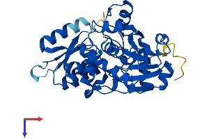 SRR Protein (AA 1-339) (His tag)