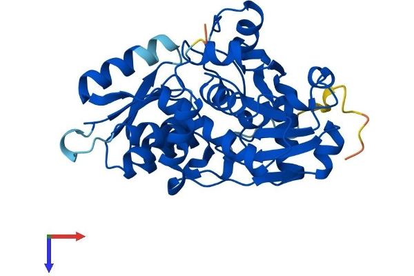 SRR Protein (AA 1-339) (His tag)