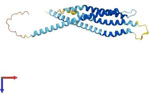 ORAI2 Protein (AA 1-254) (His tag)