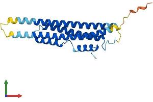 Protein Structure (PS) image for CINP (CINP) (AA 1-212) protein (His tag) (ABIN7560858)